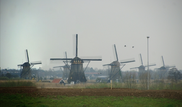 Windmühlen am Kinderdijk
