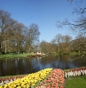 Blumenshow im Keukenhof...