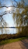 An der Außenalster im Gegenlicht