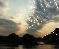 Frühmorgendliches stimmungvolles Licht auf der Donau