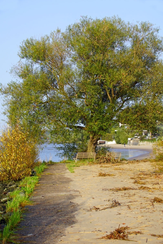 Parkbank am Elbstrand bei Falkensteiner Ufer