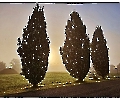 Sonnenaufgang im Nebel
