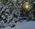 Winter in den bayerischen Alpen