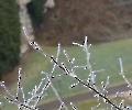 Winterlandschaften