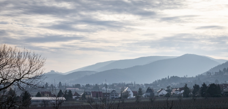 Am Rande des Pfälzer Waldes bei Neustadt an der Weinstraße, 