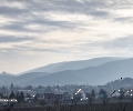 Am Rande des Pfälzer Waldes bei Neustadt an der Weinstraße, 