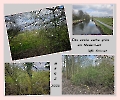 Natur