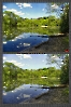 Natur
