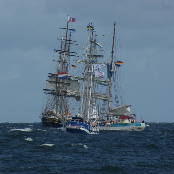 Windjammertreffen zur Hanse Sail