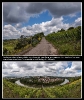 Spaziergang durch die Weinberge