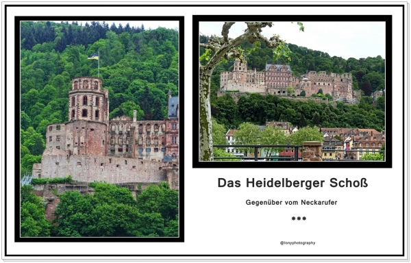 Schloß  Heidelberg