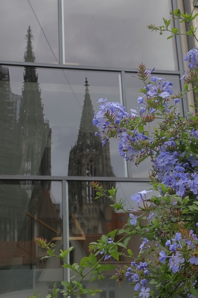 Das Ulmer Münster spiegelt sich in einem Fenster