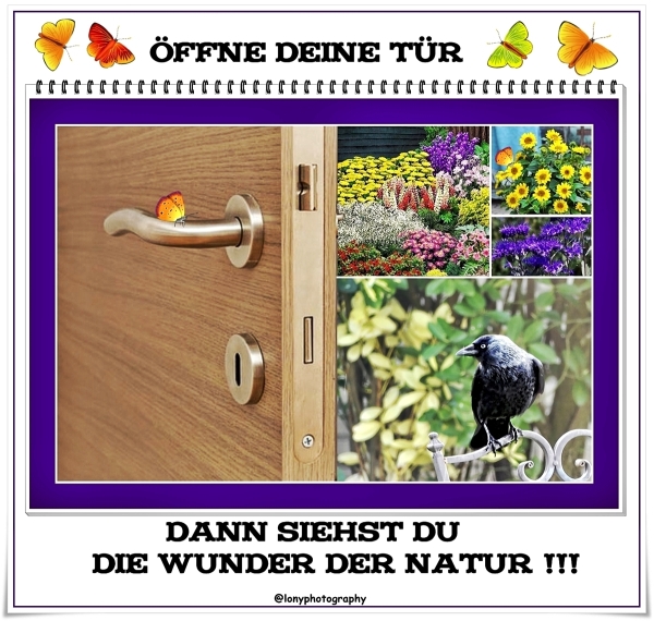 Gedanken zum Frühling