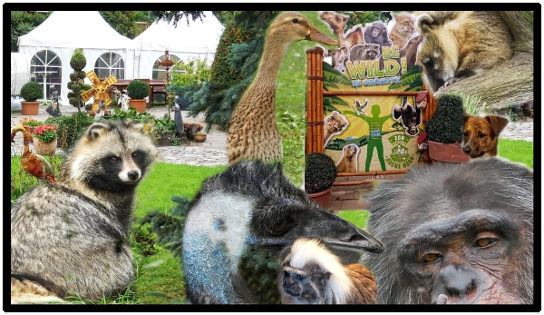 Tiere aus dem Zoo Grömitz