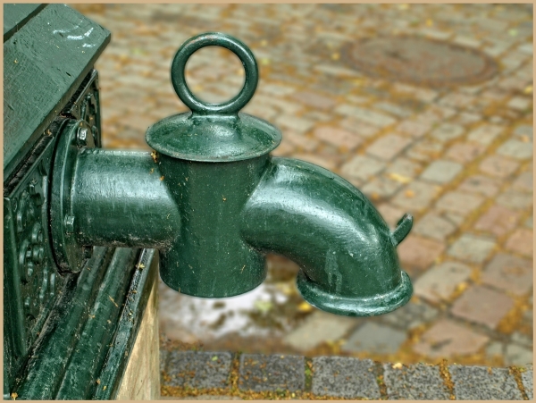 Wasserpumpe Detail