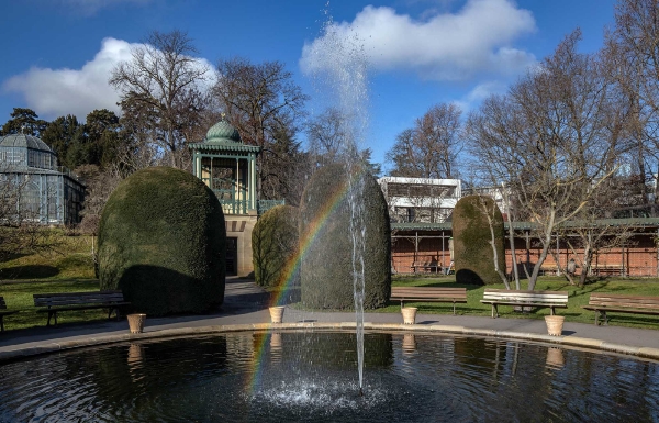 Gestern konnte man sogar den Regenbogen am Springbrunnen sehen.