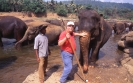 bin bei den Elefanten in Thailand