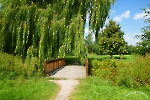 Brücke im Grünen