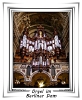 Die Orgel im Berliner Dom