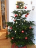 Unser Weihnachtsbaum steht in der Ecke