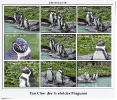 Die singenden Pinguine