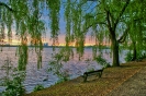 Am Morgen an der Außenalster
