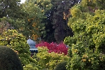 In der Wilhelma ist alles so angepflanzt das es im Herbst ein Farbenspiel gibt.