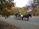 Centralpark NY, Big City,...
