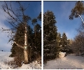Noch 2 Winterbilder 