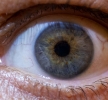 Auflösung der komischen Pflanze: mein Auge, die Iris...