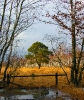 Feld und Wiese