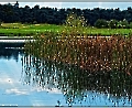 Moorsee